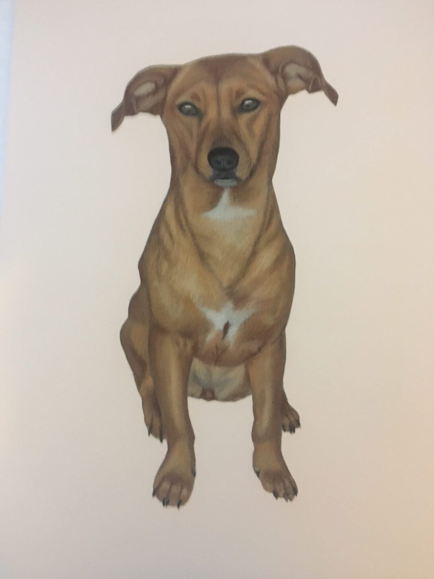 Maggie